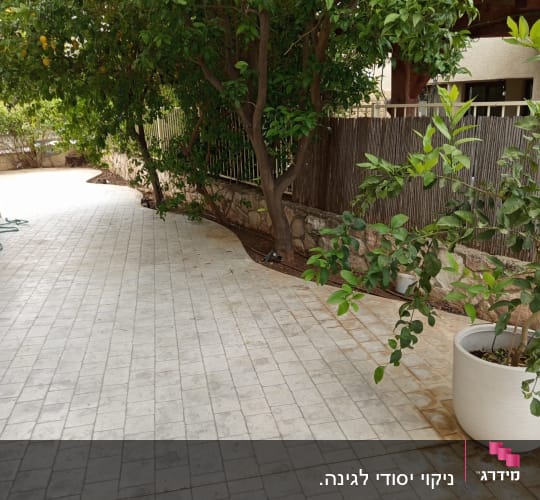 עץ עם פירות ותשבץ עלים בעציץ גדול